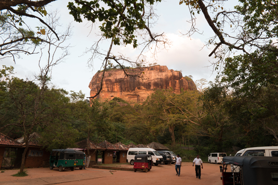 Sigiriya Leeuwenrots fraai in de avondzon-2670