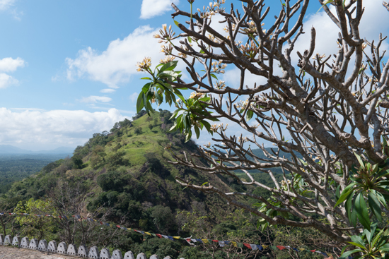 Dambulla Grottempels-2800