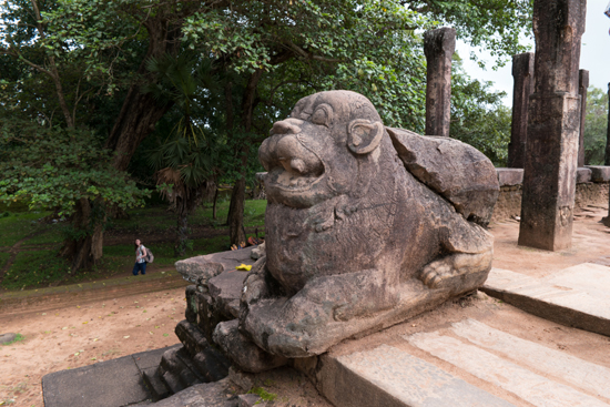 Polonnaruwa Ancient city-2970