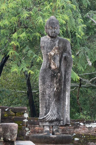 Polonnaruwa Ancient city-3050