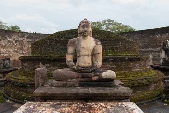 Polonnaruwa Ancient city-3080