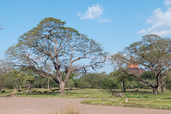 Mihintale - Anuradhapura-3360