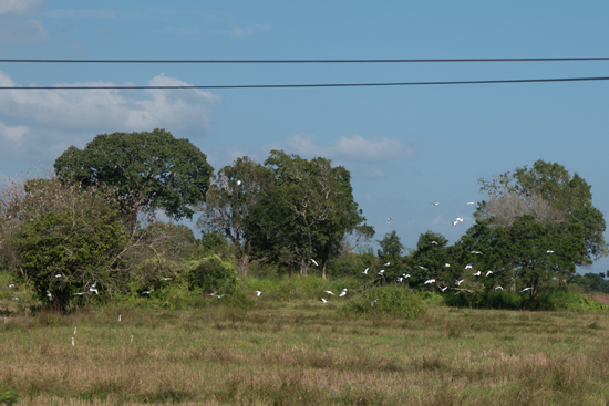 Onderweg naar Jaffna-3480