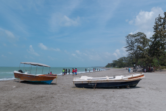 Jaffna Casuarine strand -3640