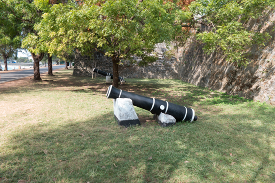 Trincomalee Fort Frederick-3810