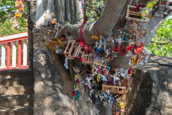 Trincomalee Koneswaram tempel-3960