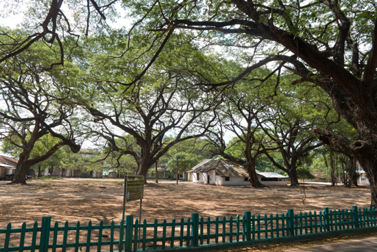 Trincomalee Koneswaram tempel-3970