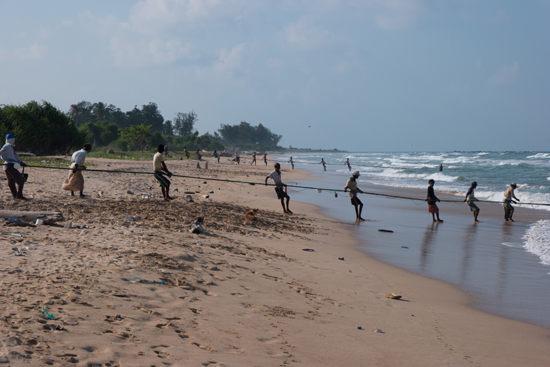 Trincomalee Vissers halen de vis binnen-4000