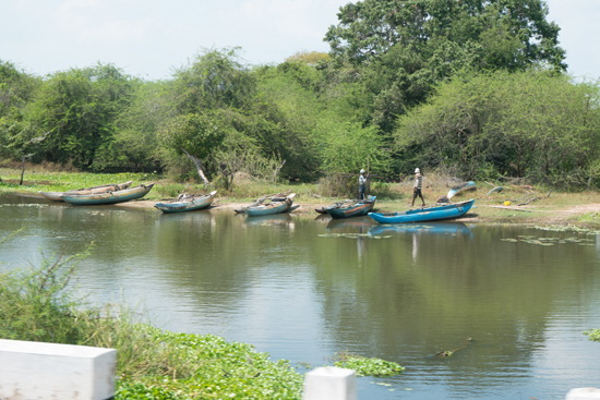 Onderweg naar Negombo-4070