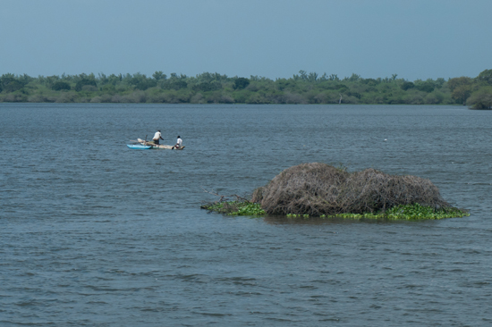 Onderweg naar Negombo-4090