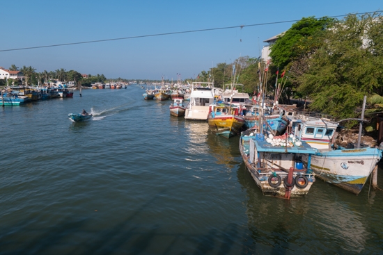 Negombo Vissershaven-4150