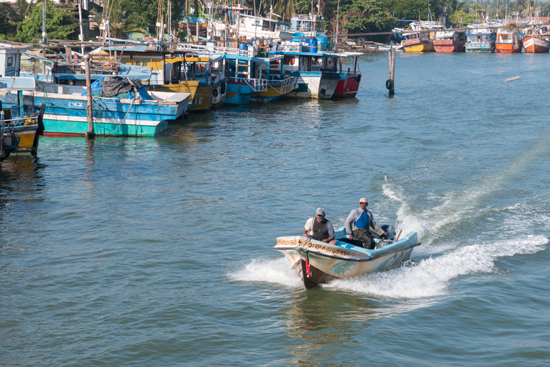 Negombo Vissershaven-4160