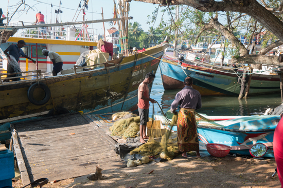 Negombo Vissershaven-4190