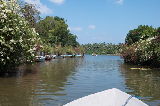 Negombo Boottocht -4260