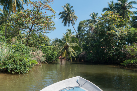 Negombo Boottocht -4270