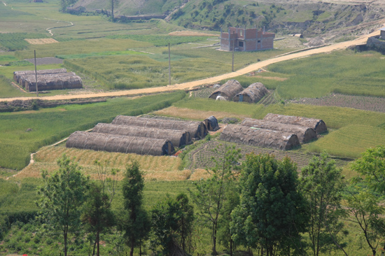 Champignon kwekerijen  in de Kathmandu vallei-0330