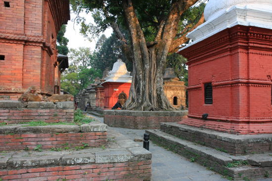 Pashupatinath tempel-0470