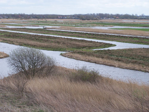 Oostzaan   oostzaan_100_0462.jpg