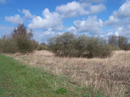 Oostzaan   oostzaan_100_0471.jpg