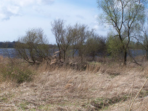 Oostzaan   oostzaan_100_0473.jpg