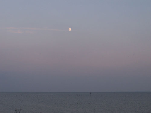 Sunsets   sunsets_100_1814.jpg